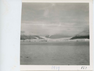 Image of Rink Glacier